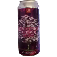 Level Crossing Brewing Company Cryptoporticus Philly Sour