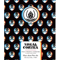 Source Farmhouse Brewery Visual Cortex 2