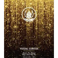 Source Farmhouse Brewery Visual Cortex XII