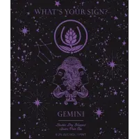 Source Farmhouse Brewery What's Your Sign? Gemini