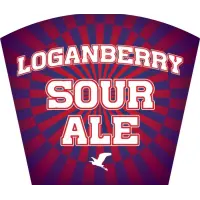 Bolton Landing Brewing Company Loganberry Sour