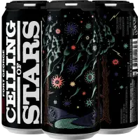 Fort George Brewery Ceiling of Stars