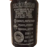 Tenby Brewing Co Hammerhead - Galaxy & Topaz