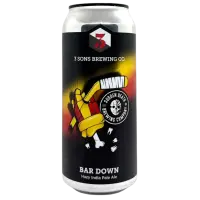 3 Sons Brewing Company Bar Down