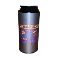 Tørst Mikrobryggeri Pennyless