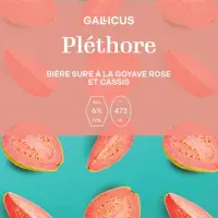 Brasserie Artisanale Gallicus Pléthore
