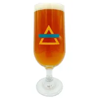 Anecdote Brewing Conver Sage Tion