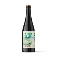 Microbrasserie du Lac Saint-Jean Y'a Juste Un Lac