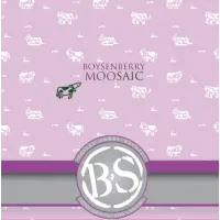 Bolero Snort Brewery Boysenberry Moosaic