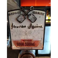 The Charming Squire James Squire Sour Squire