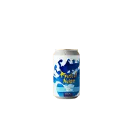 Sofia Electric Brewing Fractal Noise