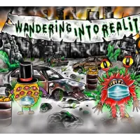 Three 3's Brewing Company Wandering Into Reality