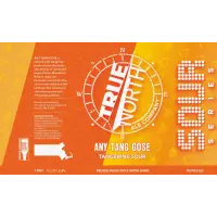 True North Ale Company Any Tang Gose