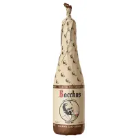 Brouwerij Vanhonsebrouck Bacchus Vlaams Oud Bruin