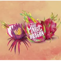 Connecticut Valley Brewing The Magic Dragon