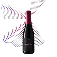 Side Project Brewing Persona CK