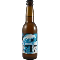 Martinus Wit 1717