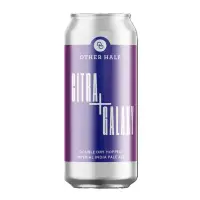 Other Half Brewing Citra + Galaxy