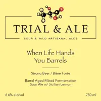 Trial & Ale Brewing When Life Hands You Barrels