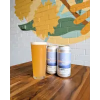 Bracket Brewing Off Script