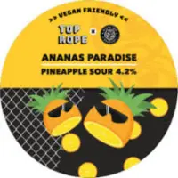 Top Rope Brewing Ananas Paradise