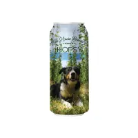 Tree House Brewing Company Hopsy Pilsner