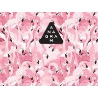 Anagram Brewing Pink Flamingose - Sour Cherry