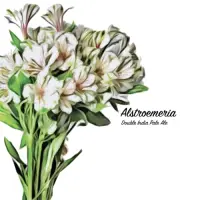 Fidens Brewing Company Alstroemeria