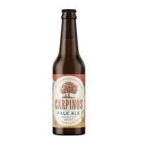 Carpinus Microbrewery Evritanias (Ζυθοποιία Ευρυτανίας) Pale Ale