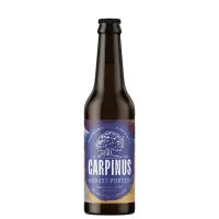 Carpinus Microbrewery Evritanias (Ζυθοποιία Ευρυτανίας) Robust Porter