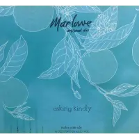 Marlowe Artisanal Ales Asking Kindly - Galaxy