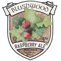 Boxing Wizard Brewery Blushwood