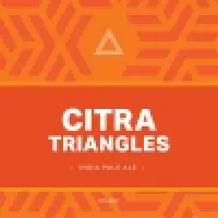 Triple Crossing Beer Citra Triangles