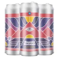 Burlington Beer Company Magenta Mountain