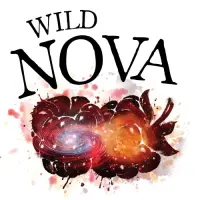 Blake's Hard Cider Co. Wild Nova