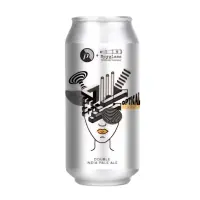 Proclamation Ale Company Optical Delusions