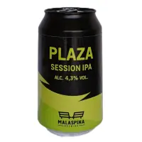 Malaspina Brewing Plaza