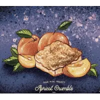 Vitamin Sea Brewing Sour Pipe Project - Apricot Crumble