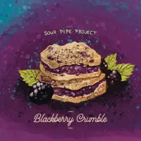Vitamin Sea Brewing Sour Pipe Project - Blackberry Crumble