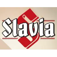 Heineken France Slavia