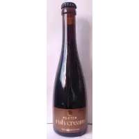 Browar Witnica Porter Irish Cream