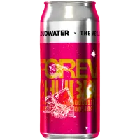 Cloudwater Brew Co Forever Chubbles (2026)