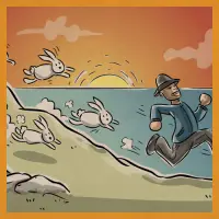 Nova Runda Sunset Bunny Trail