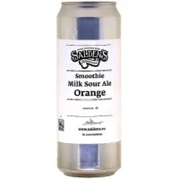 Salden's Brewery Smoothie Milk Sour Ale Orange
