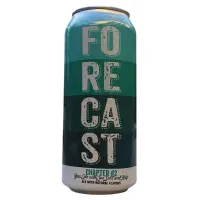 Foolproof Brewing Company Forecast Chapter #2