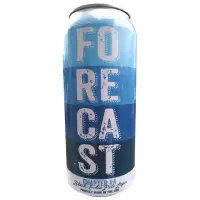 Foolproof Brewing Company Forecast Chapter #4
