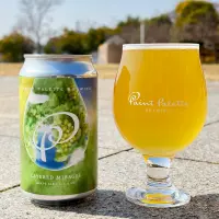 Paint Palette Brewing Layered Mirages