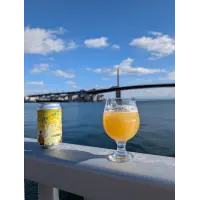 Paint Palette Brewing Mixed Media