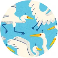 Ferndale Project Birds Aren't Real