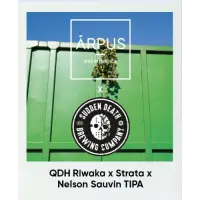 Ārpus Brewing Co. QDH Riwaka x Strata x Nelson Sauvin TIPA